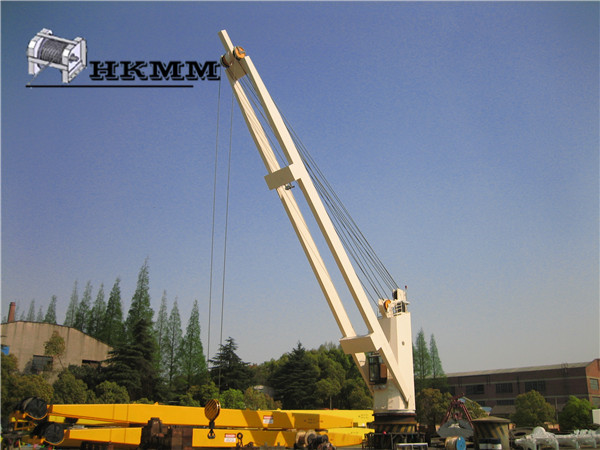 Wire rope luffing cranes